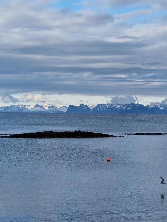 Roligheten Lodge In Andenes Dış mekan fotoğraf