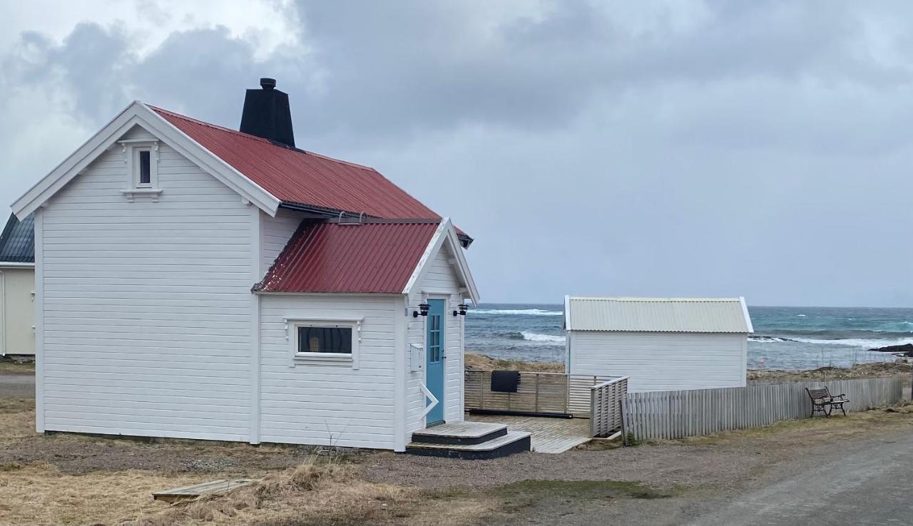 Roligheten Lodge In Andenes Dış mekan fotoğraf
